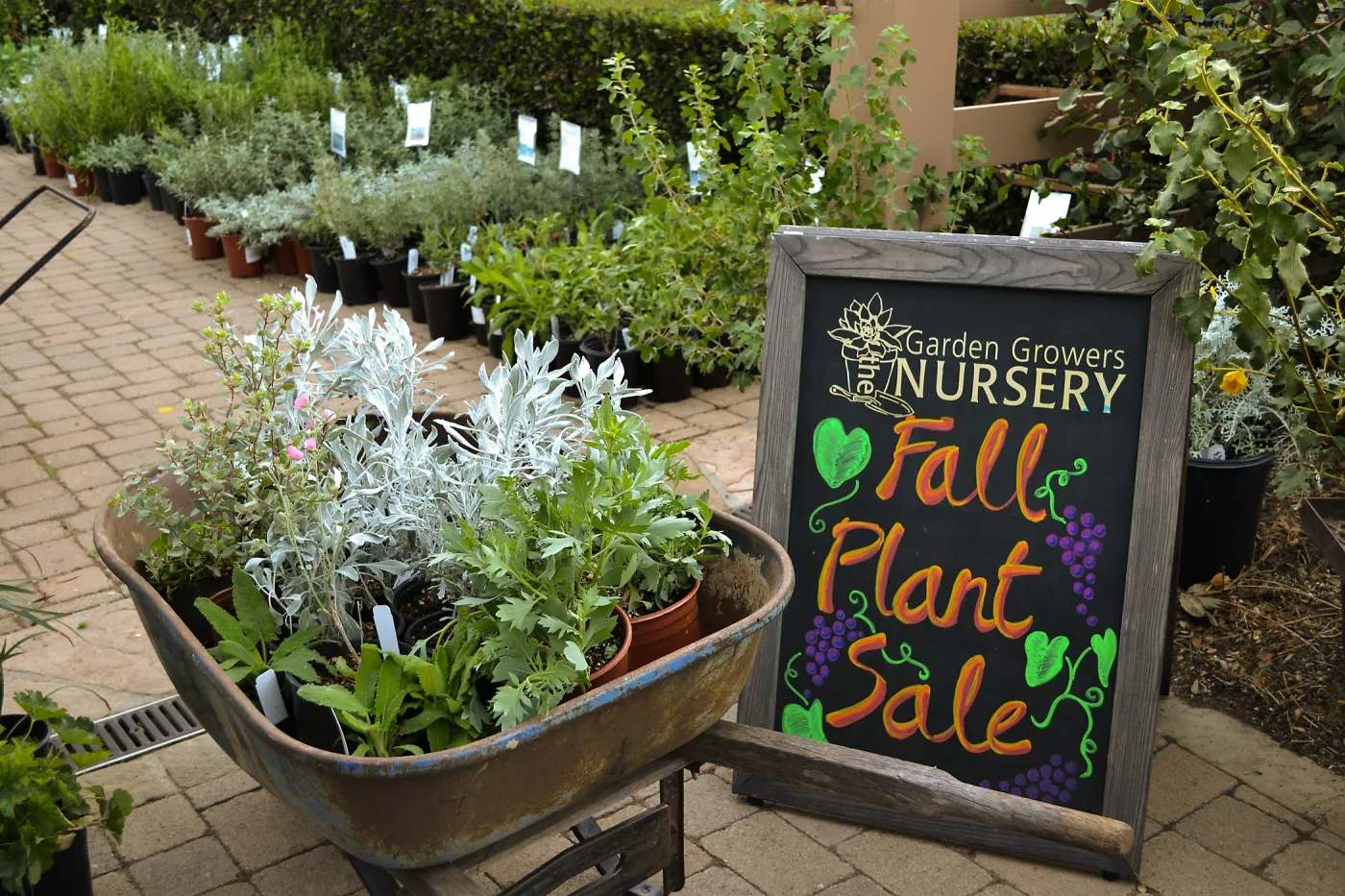2016 Fall Native Plant Sale Preview Party