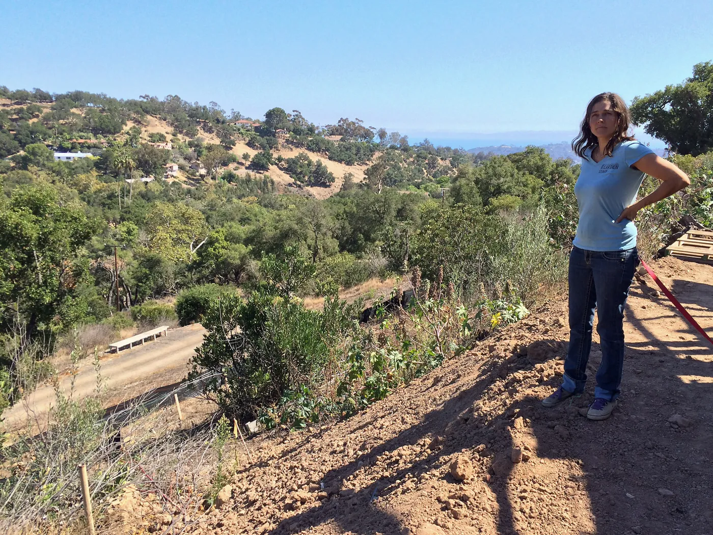 Betsy Lape, southeast slope of Pritzlaff Conservation Center