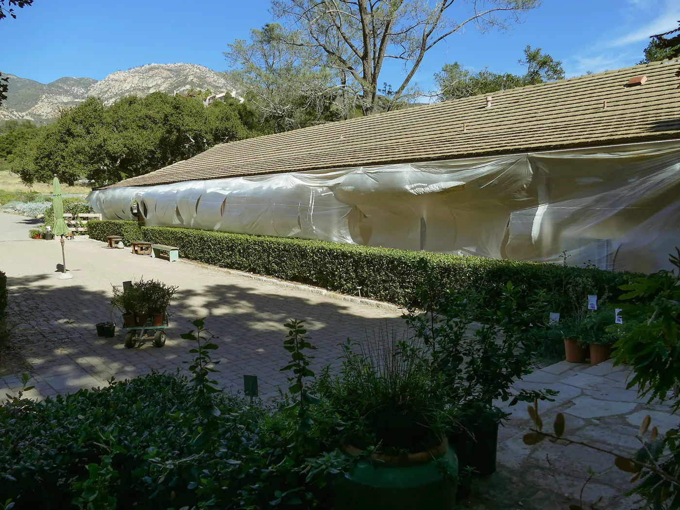 North Wing repainting