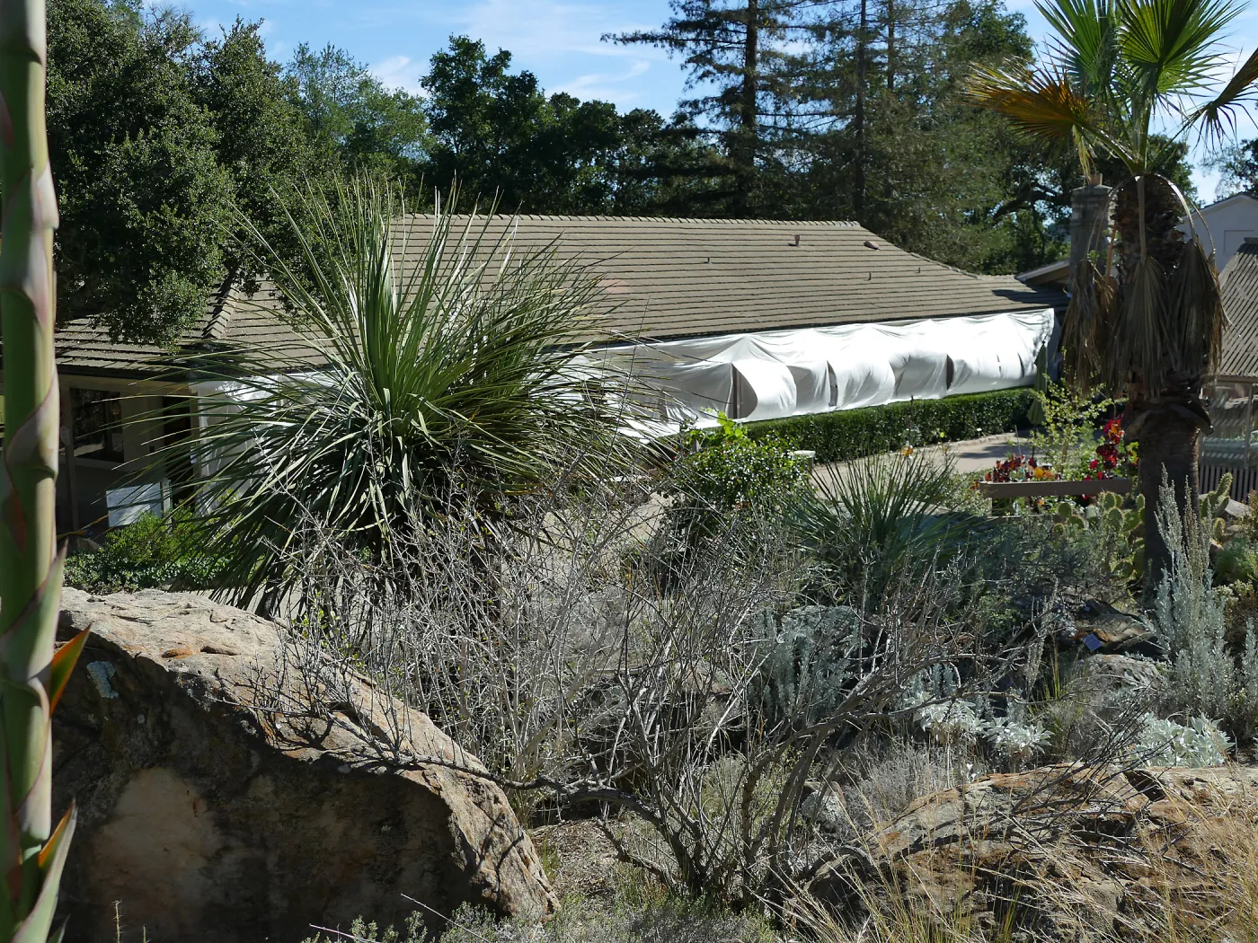 North Wing repainting, view from Desert Section