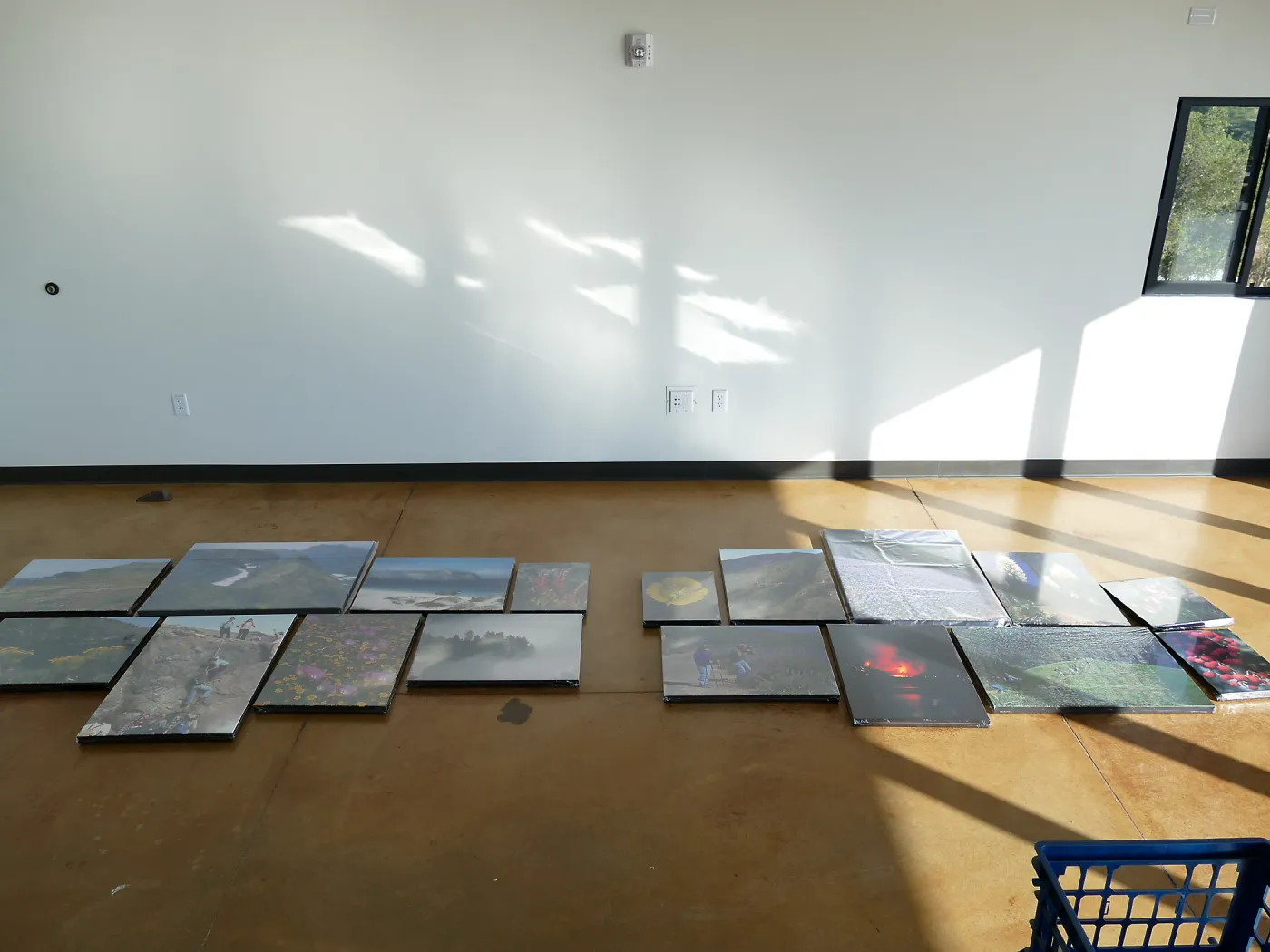 Installation of Bob Haller's Plants of California photo exhibit