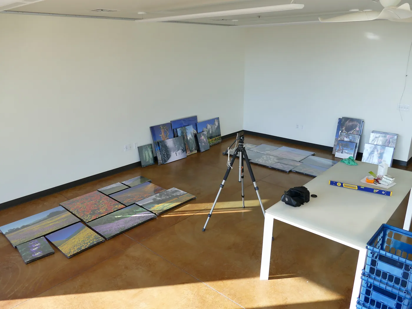 Installation of Bob Haller's Plants of California photo exhibit