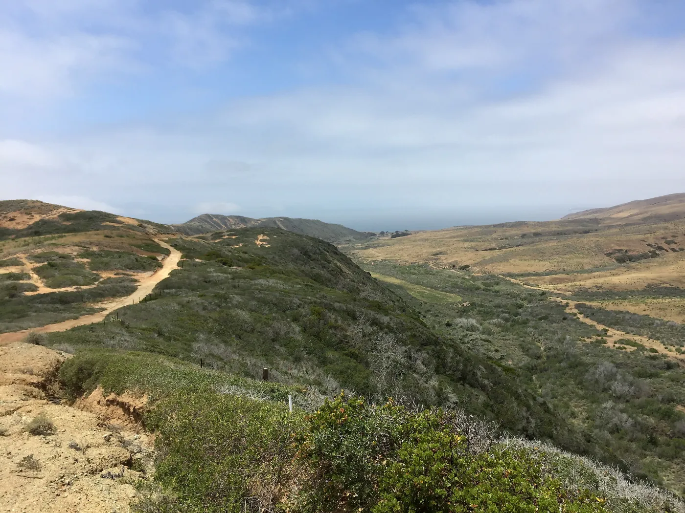 Santa Cruz Island Trip
