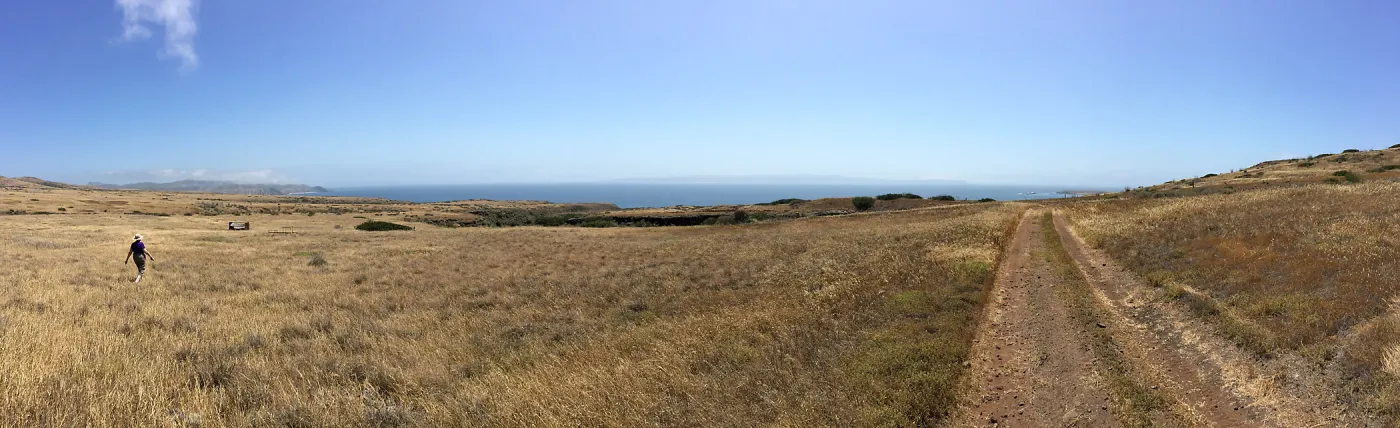 Santa Cruz Island Trip, group explores grasslands