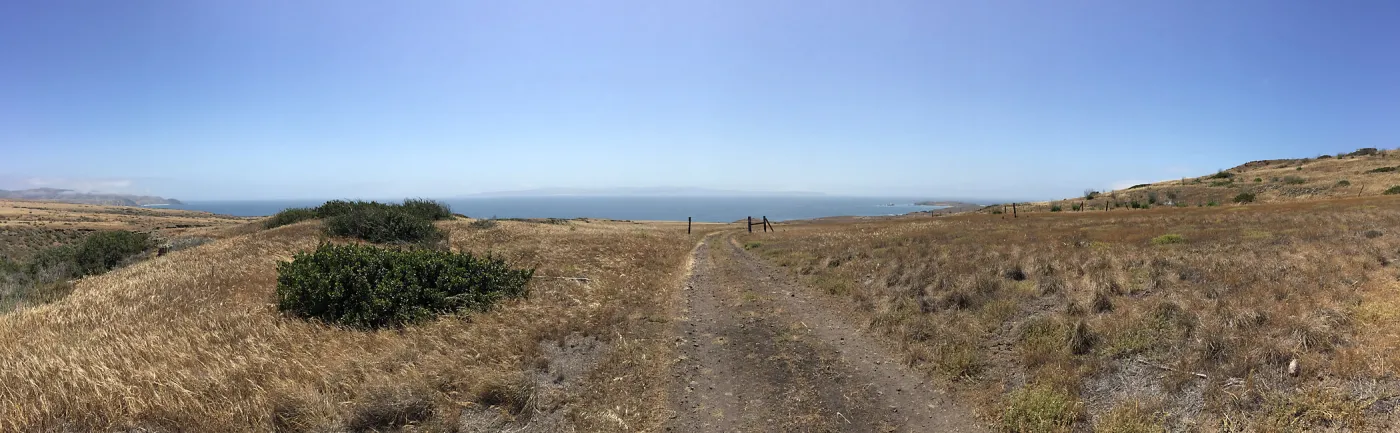 Santa Cruz Island Trip, group explores grasslands