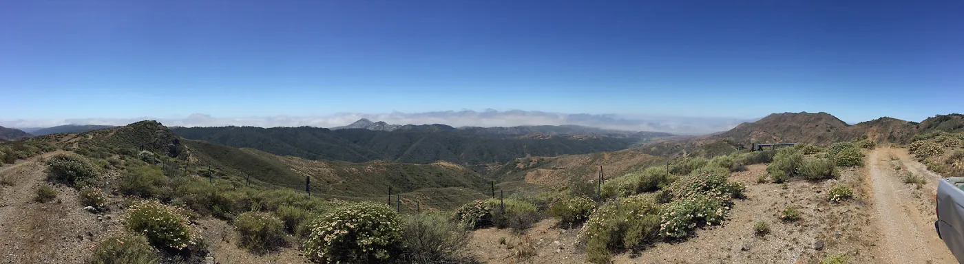 Santa Cruz Island Trip