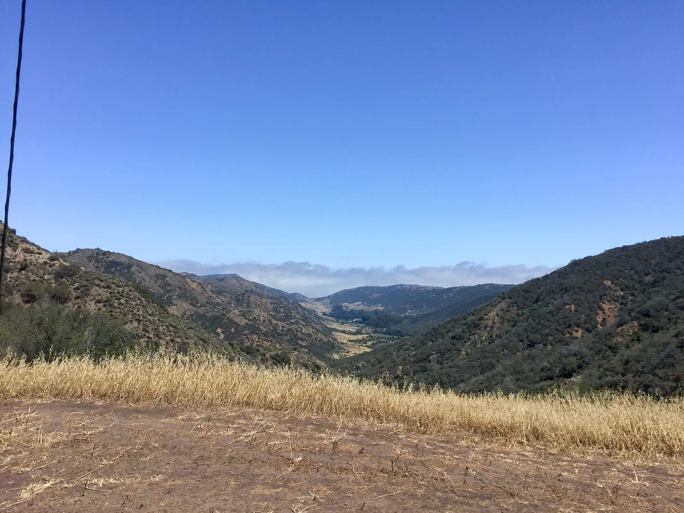 Santa Cruz Island Trip