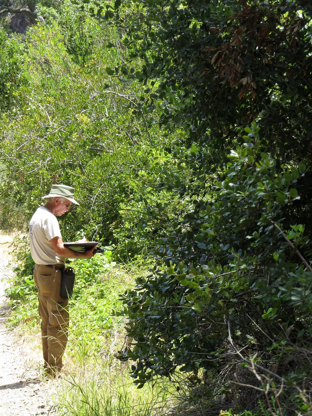 Santa Cruz Island Trip, Steve Junak documenting plant species