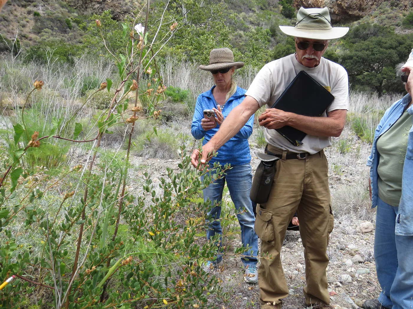Santa Cruz Island Trip, Steve Junak pointing out plant. Dina Blanchard taking picture