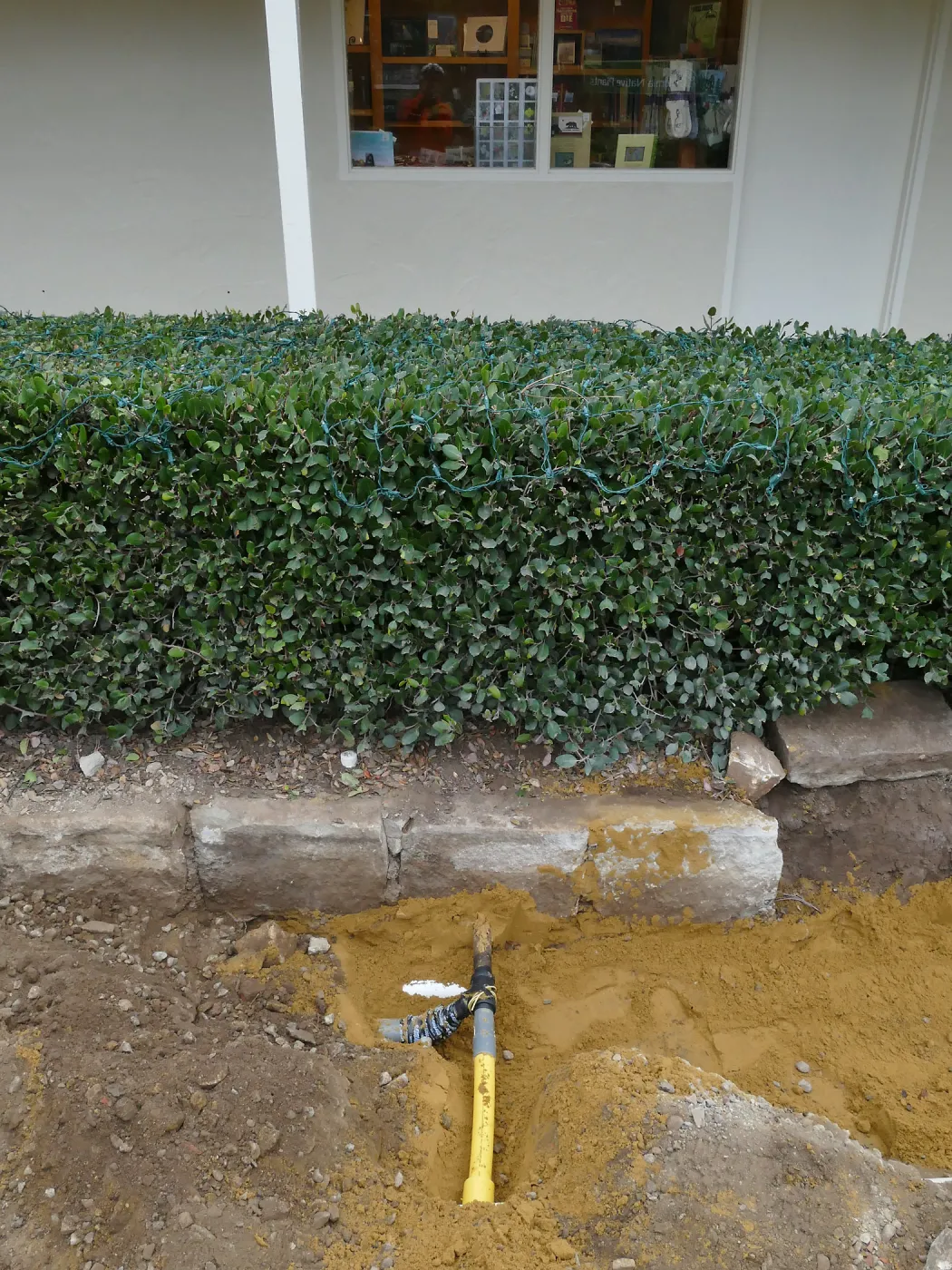 Courtyard renovation, rerouting piping, middle of courtyard looking west, northern crossing