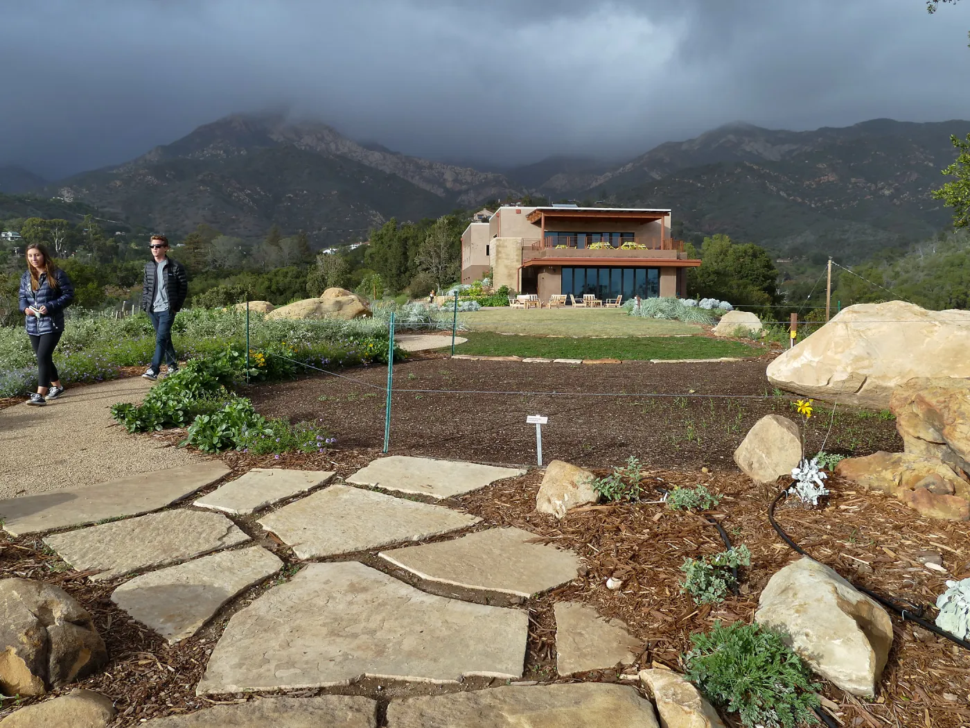 Island View Garden, view looking northeast from south steps