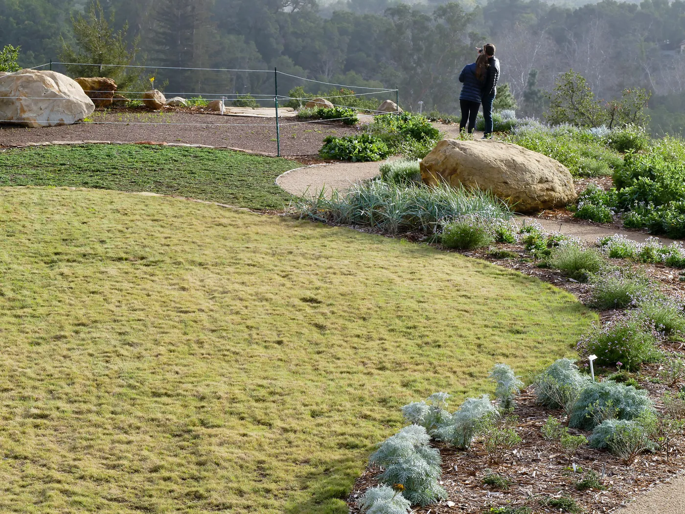 Visitors in Island View Garden
