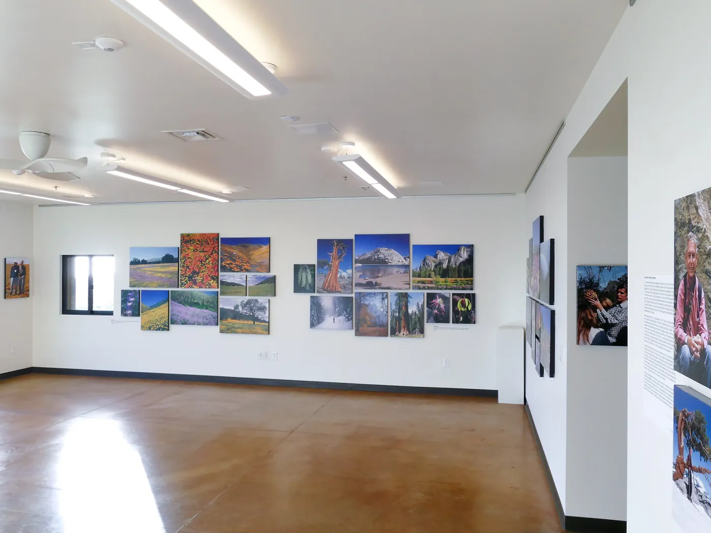 Pritzlaff Conservation Center Exhibit Room, Bob Haller Plants of California Photography Exhibit, west wall