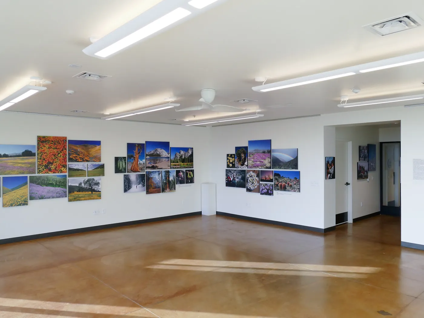 Pritzlaff Conservation Center Exhibit Room, Bob Haller Plants of California Photography Exhibit, view looking northwest