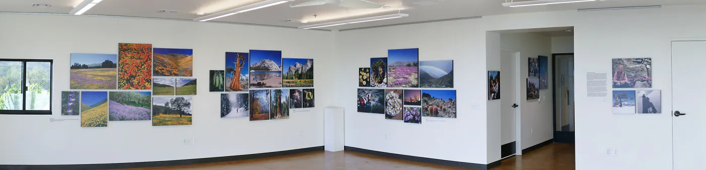 Pritzlaff Conservation Center Exhibit Room, Bob Haller Plants of California Photography Exhibit, panoramic view of west and north walls