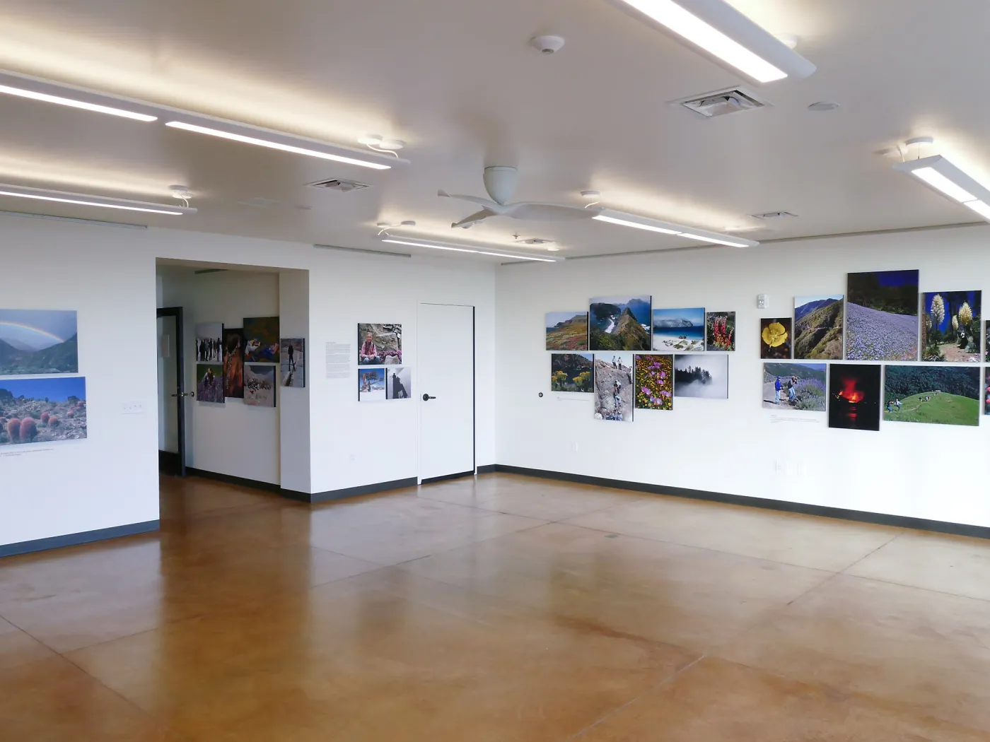 Pritzlaff Conservation Center Exhibit Room, Bob Haller Plants of California Photography Exhibit, view looking northeast