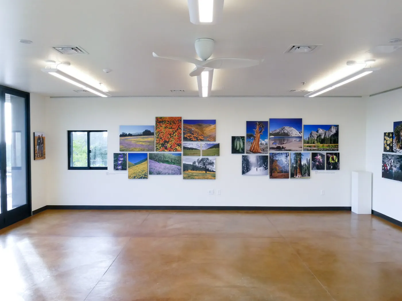 Pritzlaff Conservation Center Exhibit Room, Bob Haller Plants of California Photography Exhibit, west wall