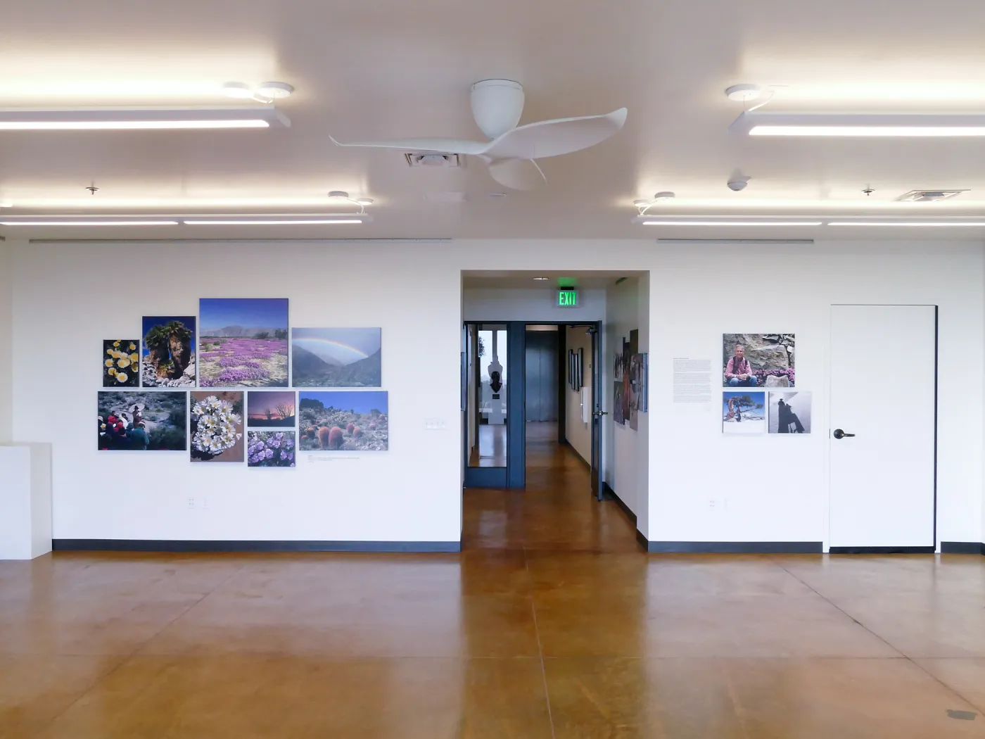 Pritzlaff Conservation Center Exhibit Room, Bob Haller Plants of California Photography Exhibit, north wall