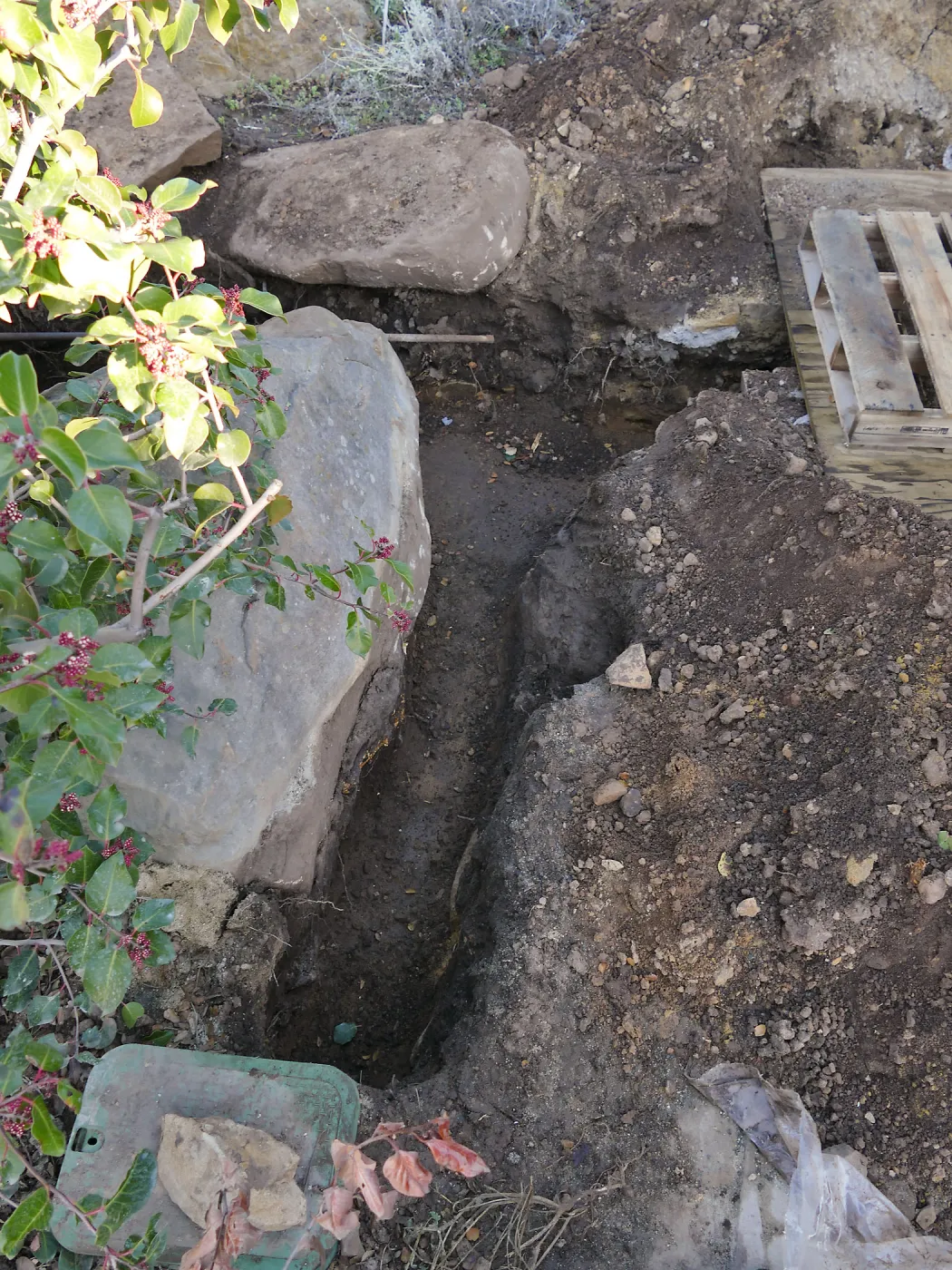 Gas line rerouting in Courtyard and Garden Growers Nursery, northwest corner of courtyard looking north