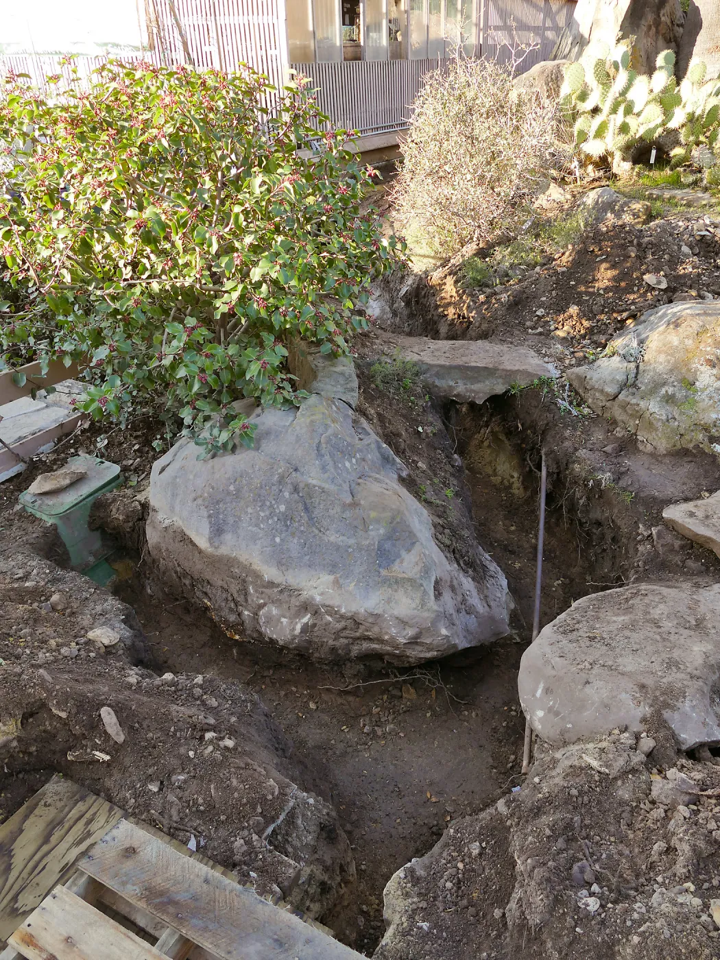 Gas line rerouting in Courtyard and Garden Growers Nursery, view from just outside northwest corner of Courtyard looking west