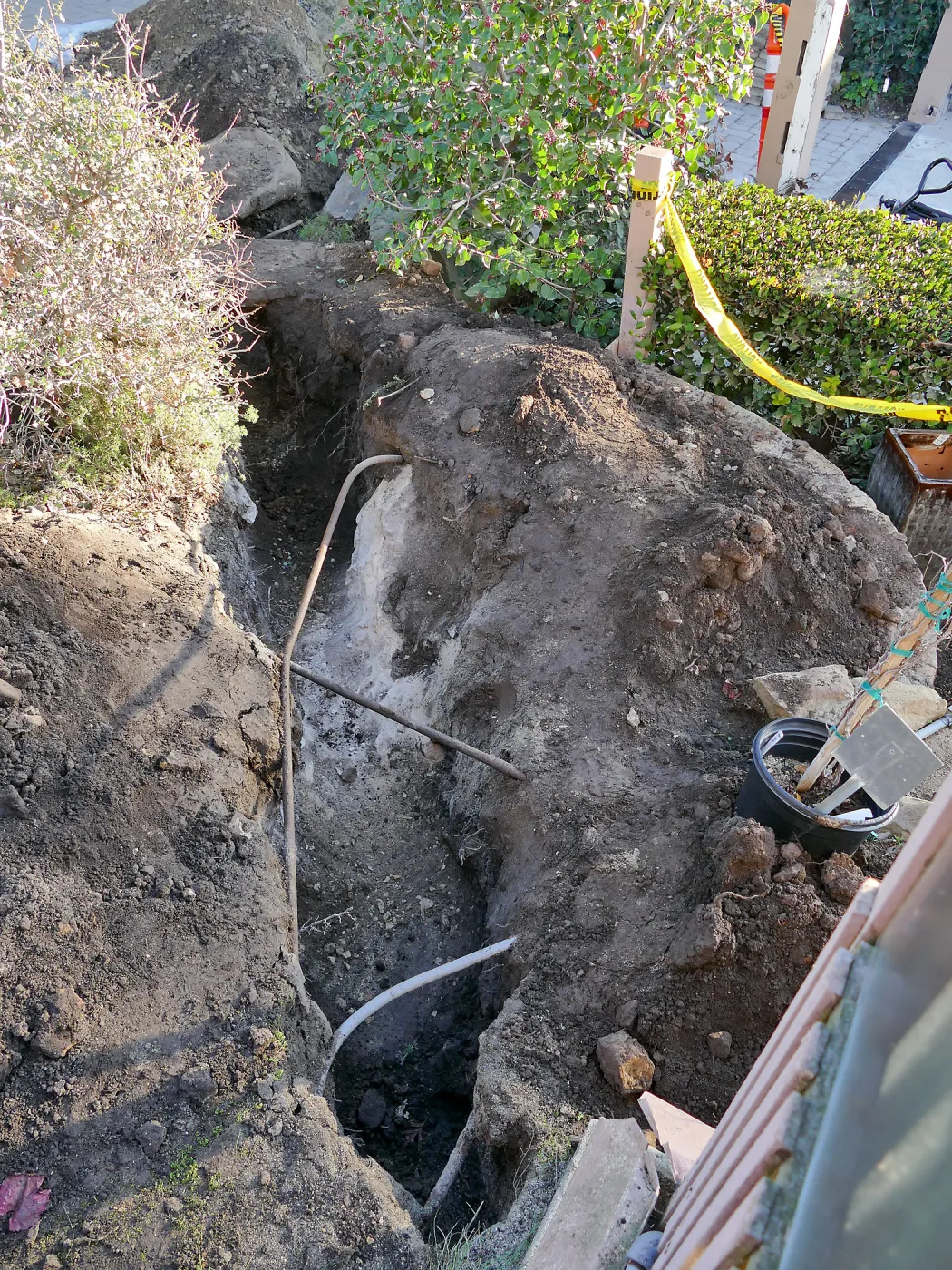 Gas line rerouting in Courtyard and Garden Growers Nursery, view from northeast corner of Lath House looking east