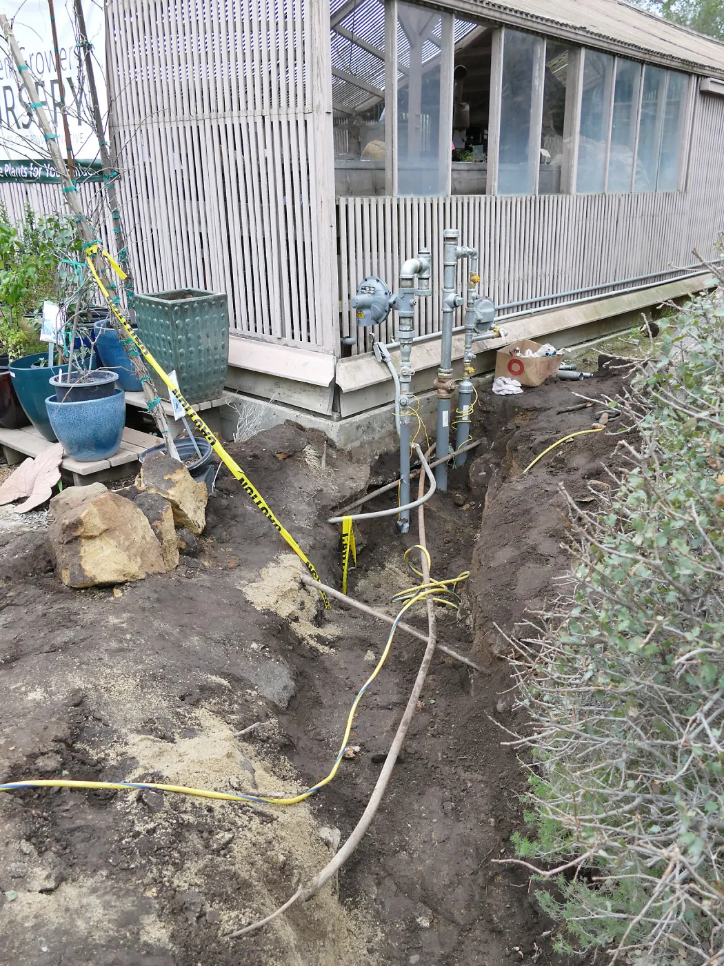 Gas line rerouting in Courtyard and Garden Growers Nursery, view of northeast corner of Lath House, where meter will be placed.