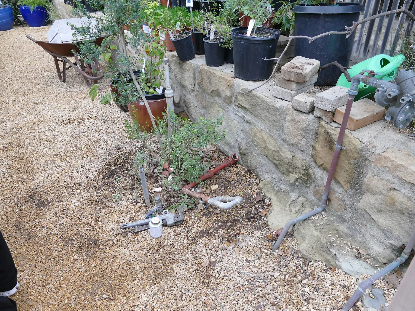 Gas line rerouting in Courtyard and Garden Growers Nursery, former location of meter, east side of Nursery