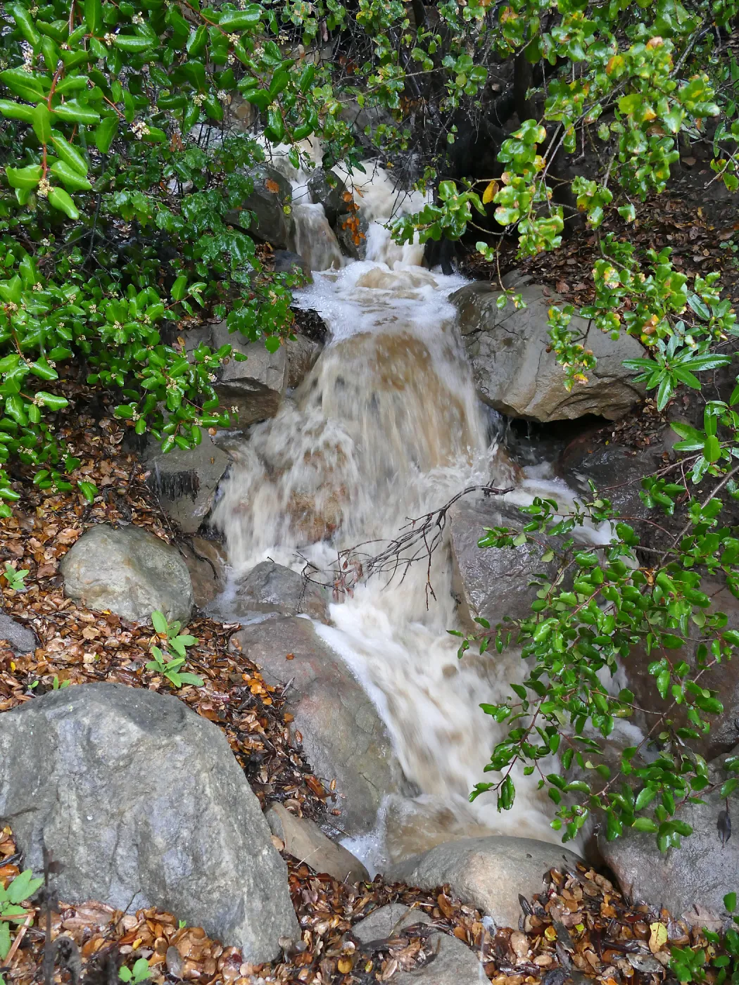 Stormwater in Arroyo