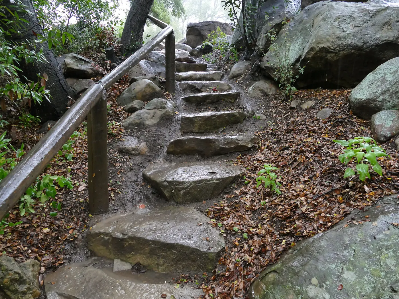 Steps into Canyon from Manzanita Section in the rain