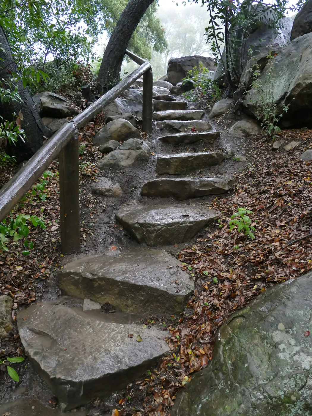 Steps into Canyon from Manzanita Section in the rain