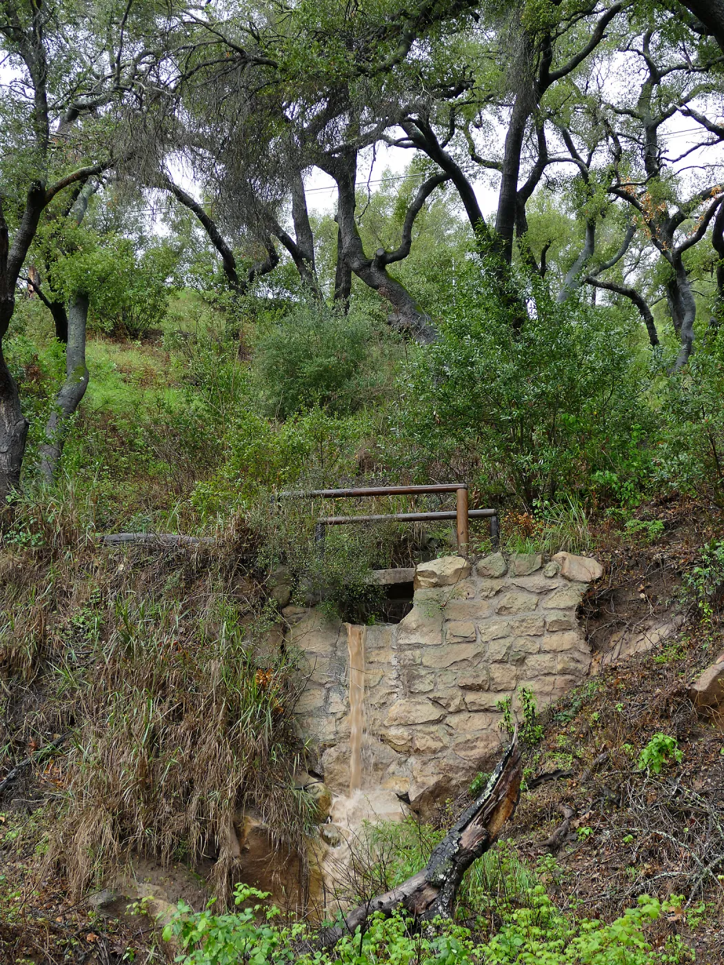 Footbridge on Pritchett Trail during rainstorm