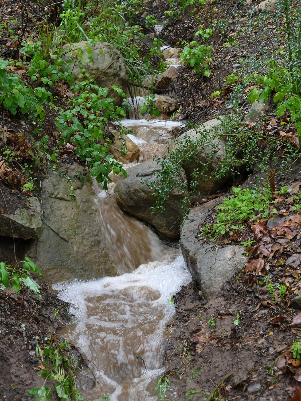 Stormwater flow in Canyon