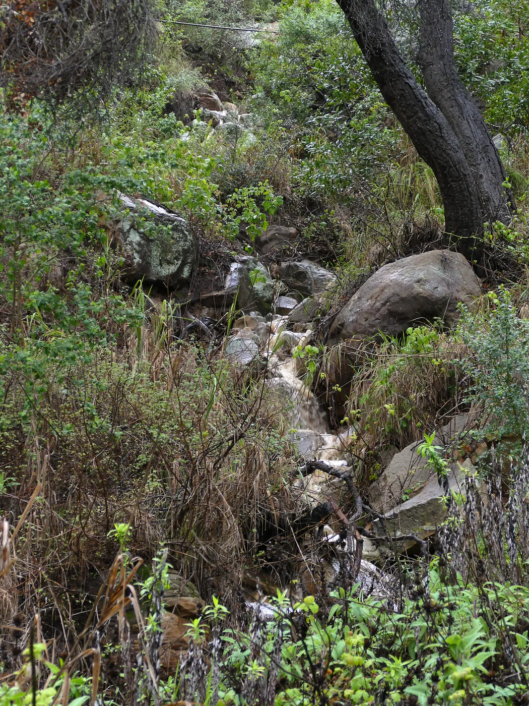 Stormwater flow in Canyon