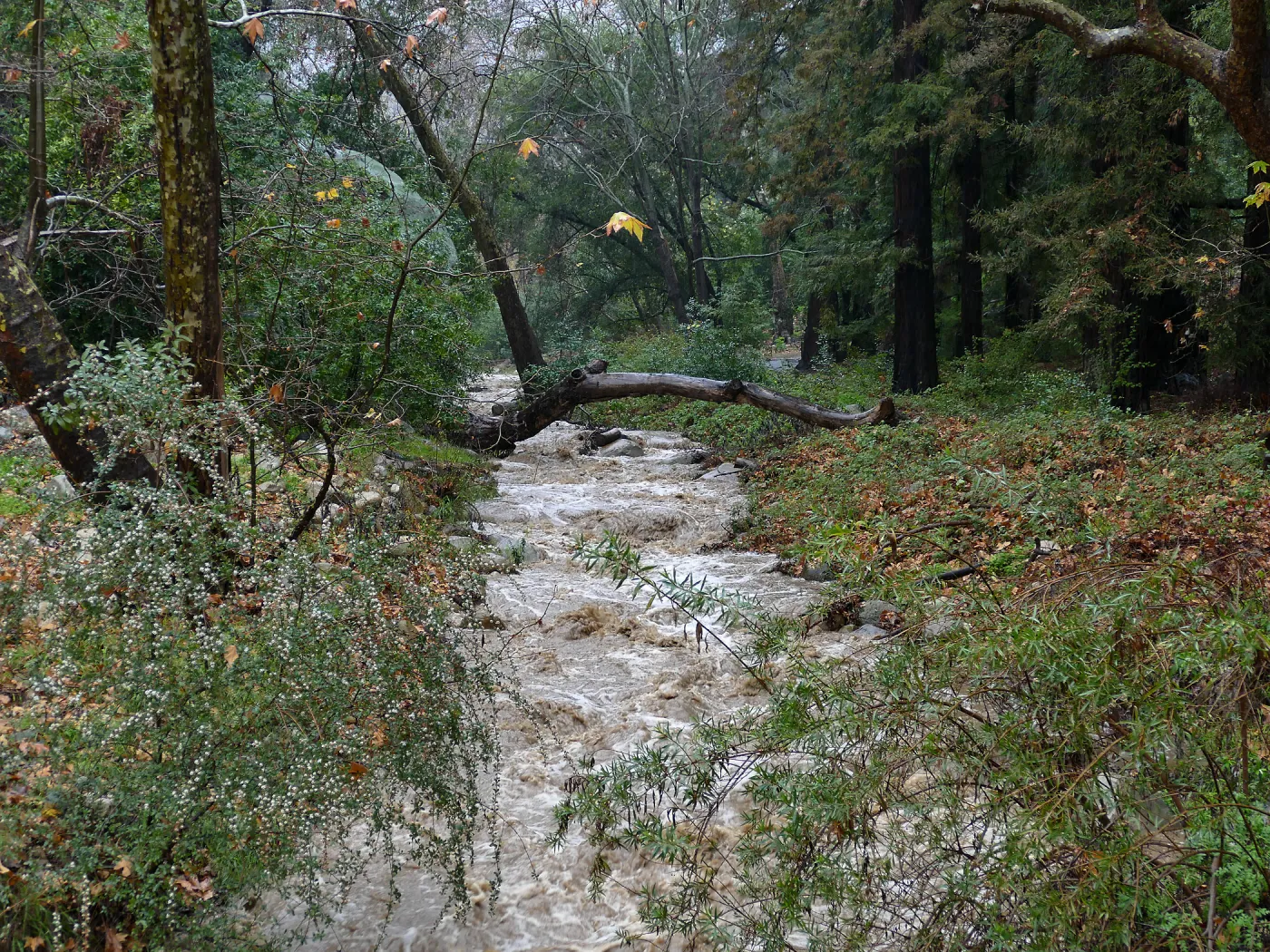 Mission Creek above dam during rainstorm