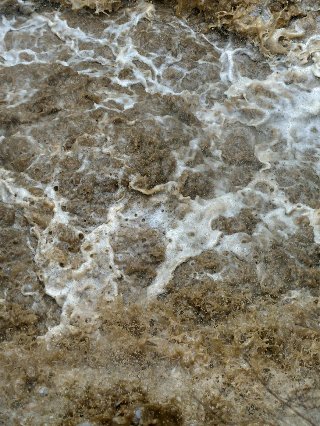 Whitewater below Mission Dam during rainstorm