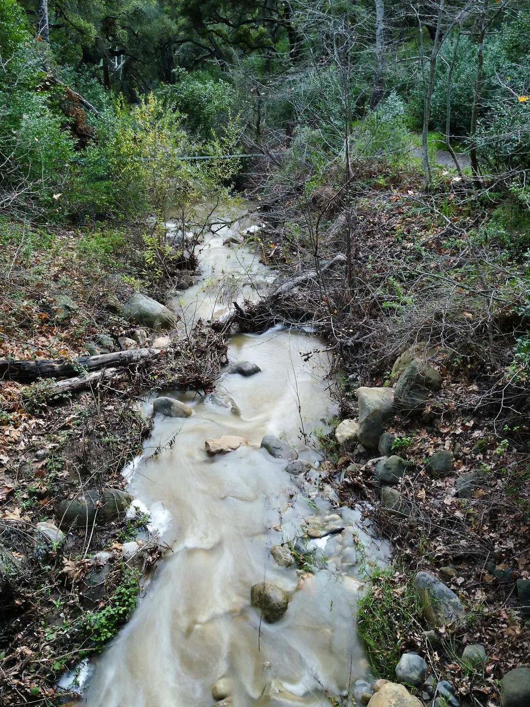 Mission Creek below Campbell Bridge