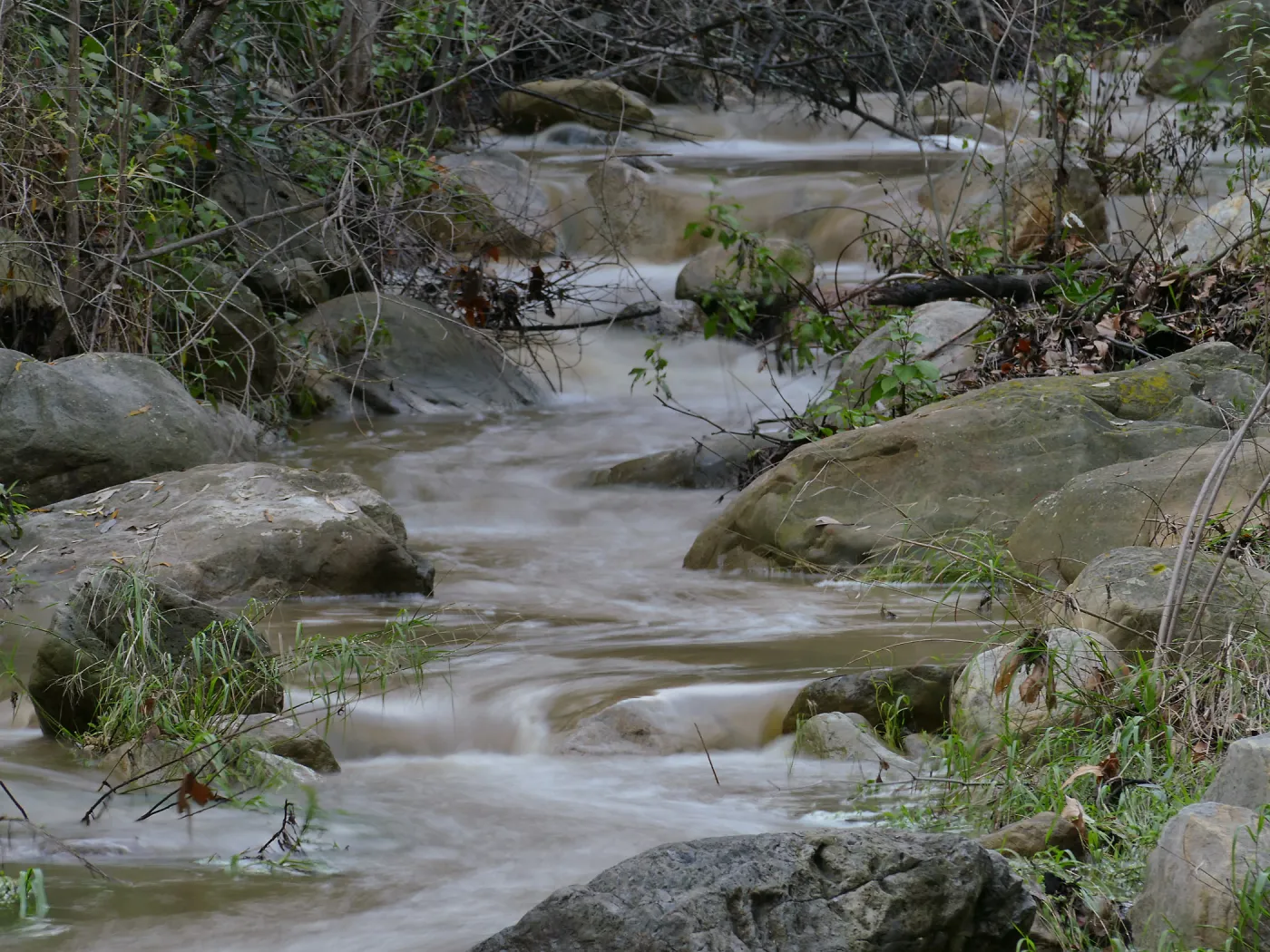 Mission Creek above Redwood Section