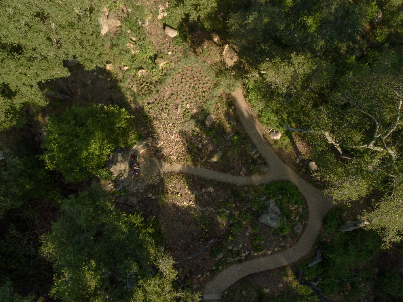 Wooded Dell, aerial view