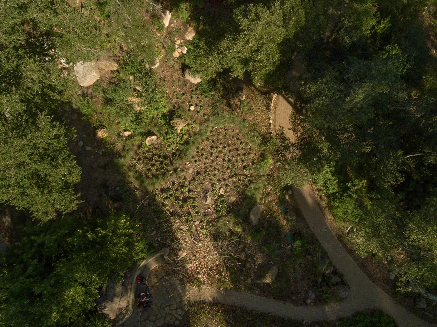 Wooded Dell, aerial view