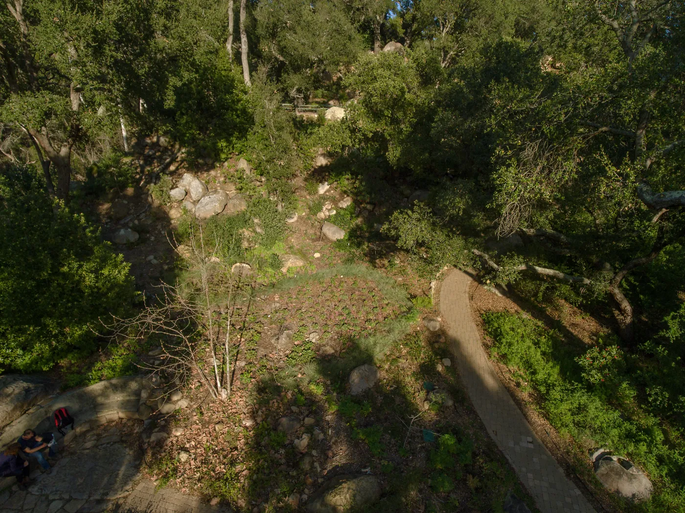 Wooded Dell, aerial view