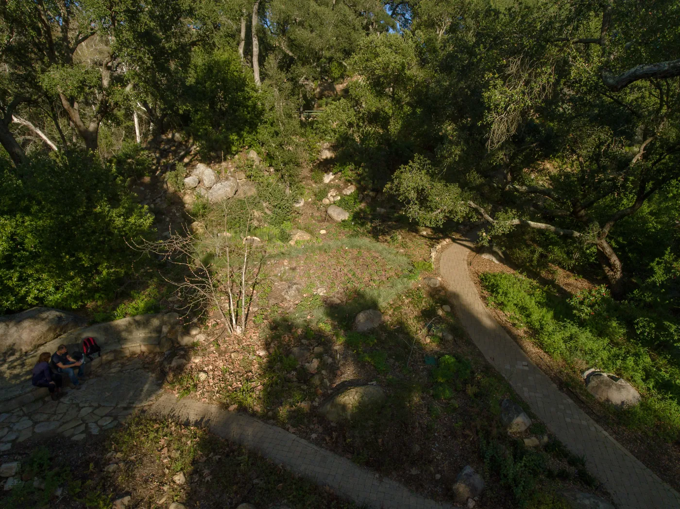 Wooded Dell, aerial view