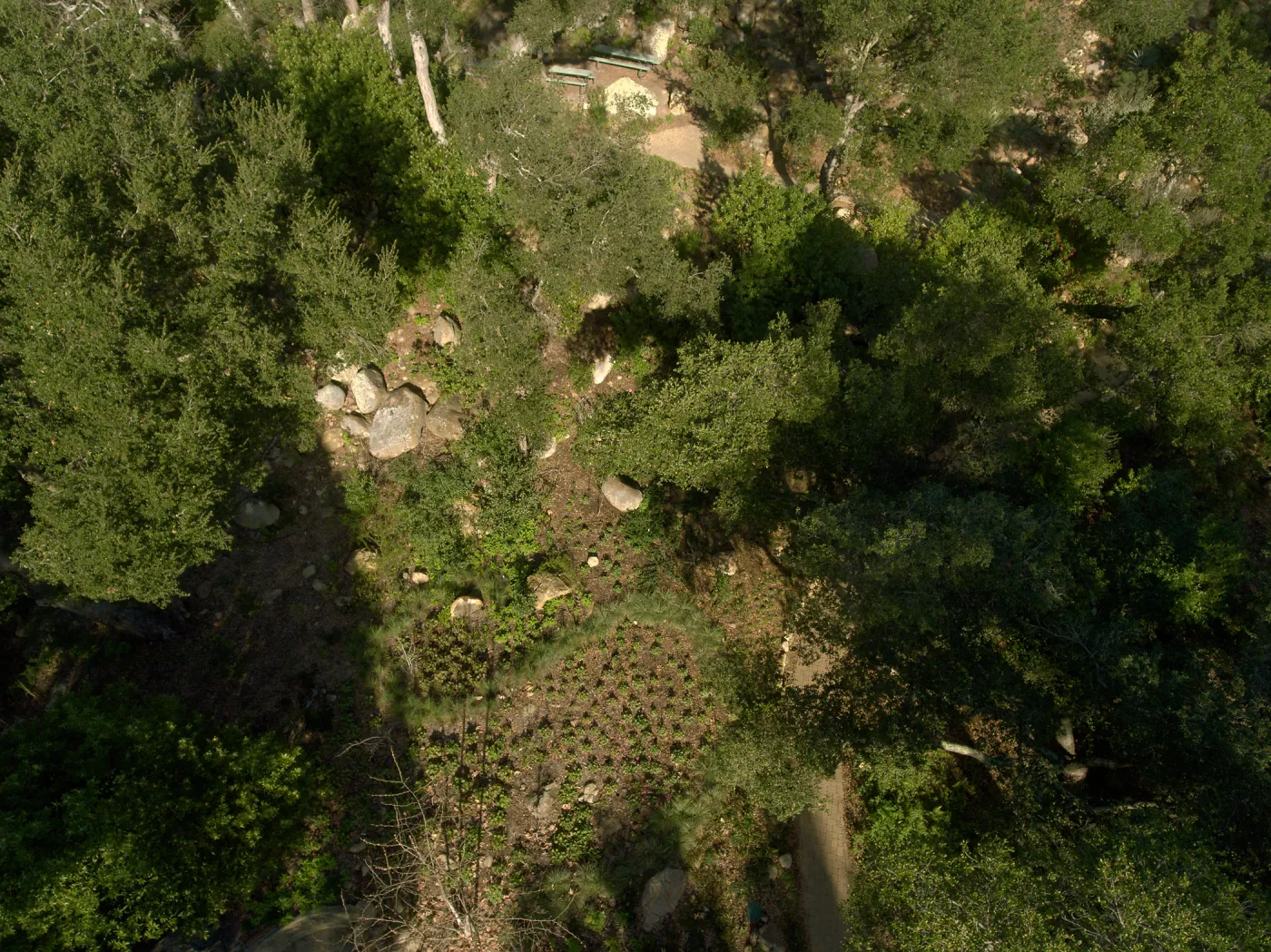 Wooded Dell, aerial view