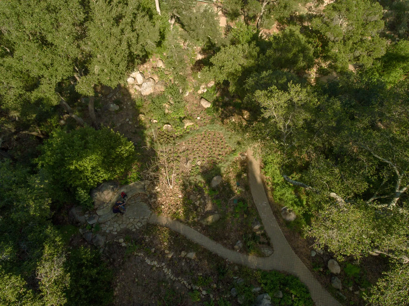 Wooded Dell, aerial view