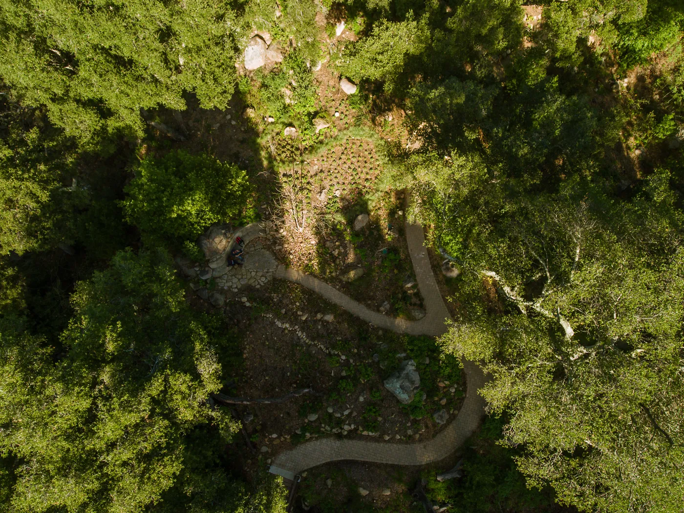 Wooded Dell, aerial view