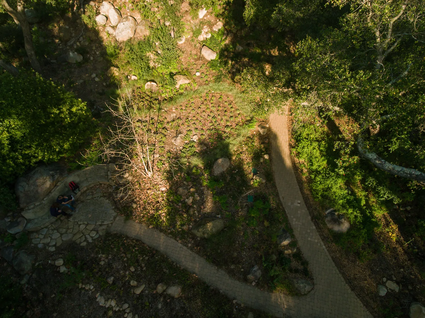 Wooded Dell, aerial view