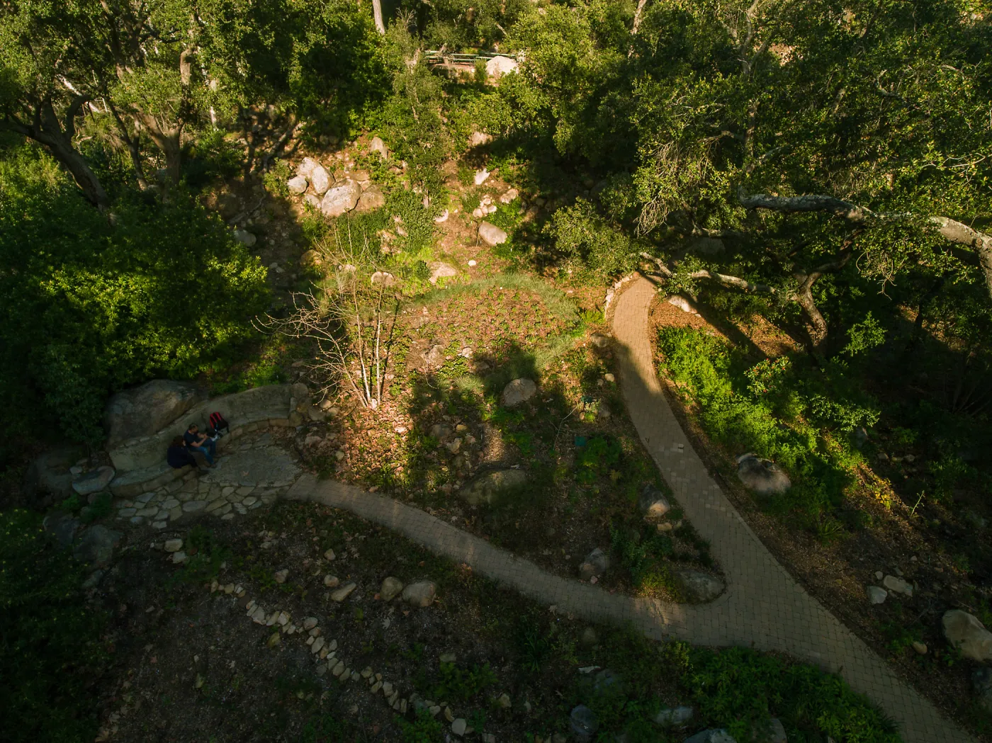 Wooded Dell, aerial view