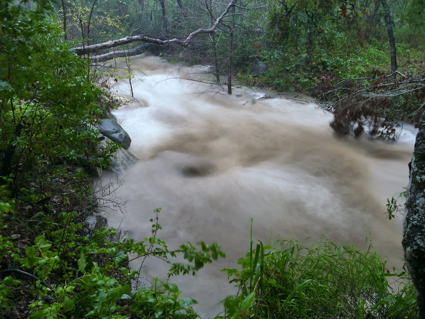 Mission Creek just below lower crossing during rainstorm