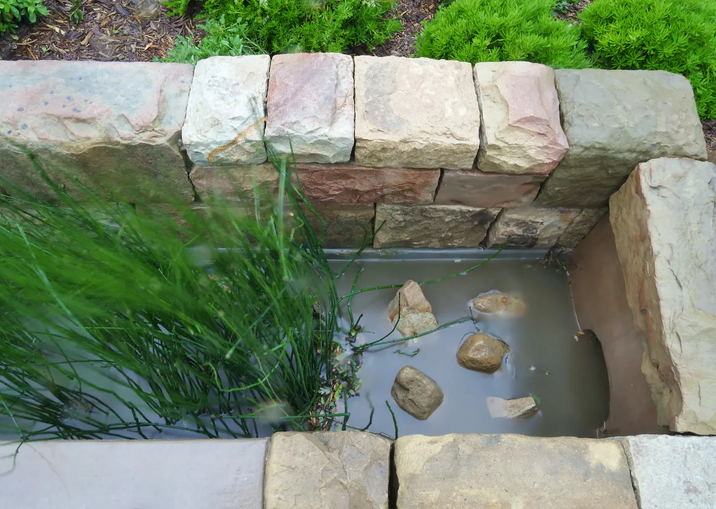 Bioswale at the Pritzlaff Conservation Center filtering runoff during a rainstorm