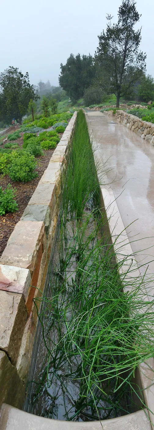 Bioswale at the Pritzlaff Conservation Center filtering runoff during a rainstorm
