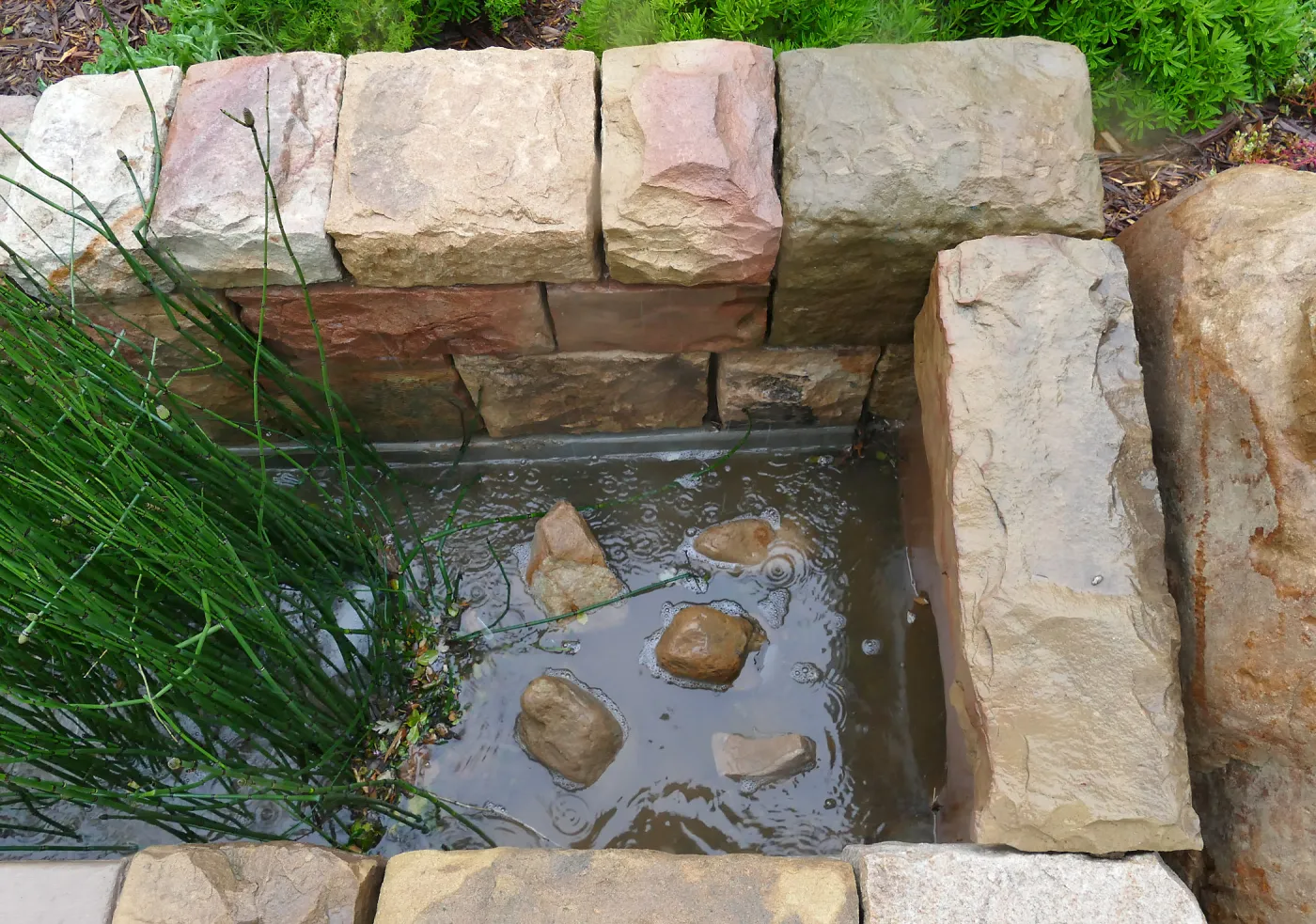 Bioswale at the Pritzlaff Conservation Center filtering runoff during a rainstorm
